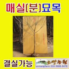 ea22e44cae638583d29c097101d02dacae95d5bcb1aaade64e4872766ff3.png