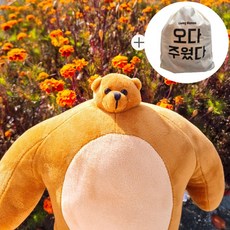 어깨깡패 남친닮은 소두곰인형 곰동석 귀여운곰인형 쓸데없는선물, 27cm