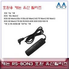 1dxmark2cf메모리
