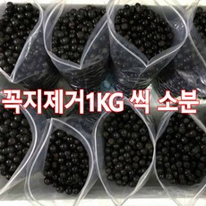 2023년 [특품] 꼭지제거 햇 아로니아생과 5kg 10kg 3kg 세척후 1kg씩포장 선물용, 1box