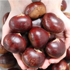 [푸띠] 공주 밤 햇밤 정안밤 달달한 대보밤 2kg 4kg, 공주 정안 대보밤 대 2kg, 단품