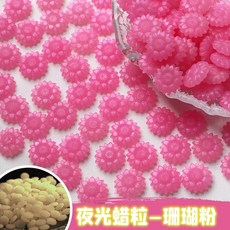 형광 반투명 소재 DIY 스크랩북 초대장 스탬핑 발광 씰링 입자 100개, 100pcs shanhufen