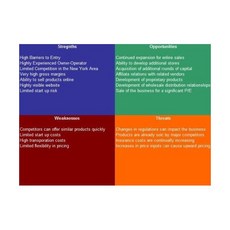 소액대출업체 SWOT 분석플러스 사업계획