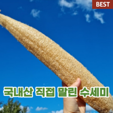 말린수세미