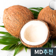 [한정수량] 베트남코코넛 야자코코넛 야자열매 3과 5과 10과, 1박스, 10과 (10kg 내외)