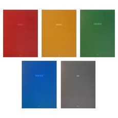 sp1000힐링쉴드전면