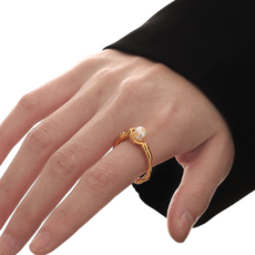 디디에두보진주