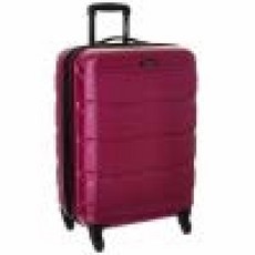 Samsonite 옴니 PC 하드사이드 익스팬더블 캐리어 스피너 휠 블랙 2피스 세트 (20/24), Carry-On 20-Inch, 래디언트 핑크, 1개