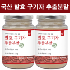 유산균발효구기자