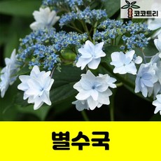 b24aae3bc2e4488b282ecd0bc3f605ede1190545dd4ebfabe19b70c2f30e.jpg