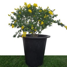 3d805e2bee3294c48e801d76f12dffa6a6b619b88ab8efcb6a433499baf1.jpg