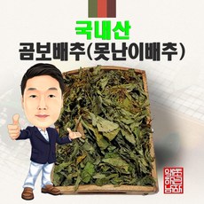 8월배추