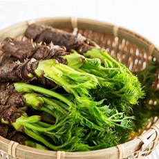 국내산 참두릅, 1개, 1200g