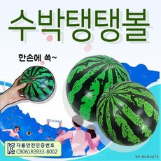 비치볼수박
