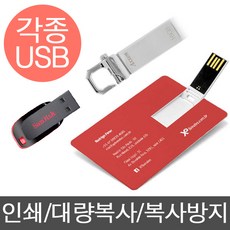 샌디스크 USB메모리 8G 16G 32G 인쇄 복사 복사방지, 8GB