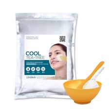 린제이모델링팩 TOP01