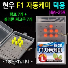 f1자동케미