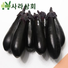 사라상회 가지 2Kg (특), 1박스