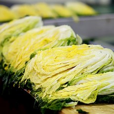 해남 절임배추 20kg 휘파람골드 절인배추 김장 김치