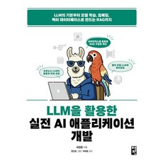 LLM을 활용한 실전 AI 애플리케이션 개발, 상품명