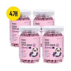 뽀시래기 든든한 강아지 덴탈껌, 블루베리, 300g, 4개