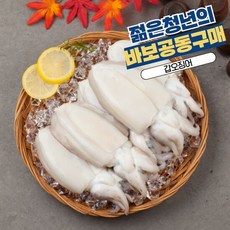 르베르웨건공동구매