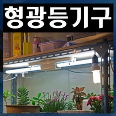 식물형광등