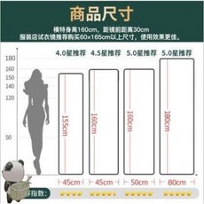 슬림 와이드 옷가게 이동식전신거울 전신대실 연습실 요가댄스 가정용 거울벽 착지댄스, 01 방폭50x150 CM샴페인골드[벽걸이], 오류 발생시 문의 ( 에이맨0304 )