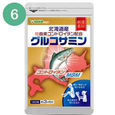 일본 콘드로이친 프로테오글리칸 글루코사민 MSM 효능 270정 6팩, 6개