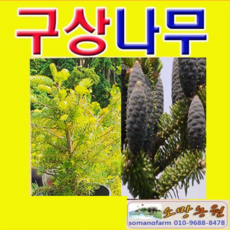 f29b12b87a89774d1003641b542b33220b7cdf711eb3304eb98f9035b992.png
