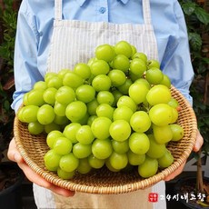 산지직송샤인머스켓1kg