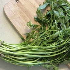 (자연담아 ) 돌미나리 국내산 탁월한 해독 정화작용 향긋한 햇 미나리 500g 1kg 2kg 4kg 500g 1개
