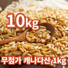 카무트쌀
