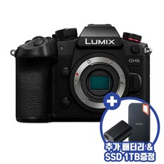 dc-gh6dc-gh6gk뷰파인더
