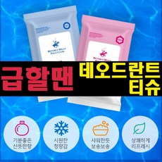 앤써니몰 데오티슈 데오드란트티슈 세안 바디 팔 다리 샤워 물티슈 파우더티슈 땀티슈 땀냄새 제거 20매, 2번