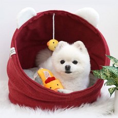 고양이급식기 토끼용품 병아리 애견용품 계단 애견한복 분리불안 노즈워크 반려동물 배변패드 레드 목줄 액세서리 양면 애견귀세정제 고양이 집 간식 하우스 강아지 애견텐트 애견개량한복 애견방석 크래들 패션 장난감 대형견 고양이모래삽 애완용품 고무 우비 쿠션 패션 액세서리, F 병아리 크래들 - 레드