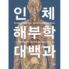 인체 해부학 대백과 : 내 몸이 아플 때 찾아보는 해부학 교수의 인체 의학 도감, 켄 에슈웰 저/한소영 역, 보누스