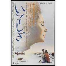 샌드파이퍼캡