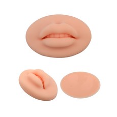 실리콘입술모형