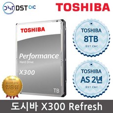 도시바x300