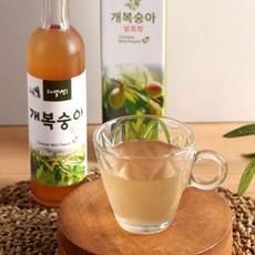 개복숭아나무