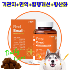 펫생각 기관지영양제 협착증 리얼배도라지 기침 건강 관리 항염 면역력 항산화 혈행개선, 3개 - 강아지건강-관리용품