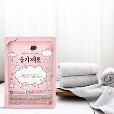 습기제로 스탠드형 효과빠른 습기제거제, 120g, 40개