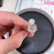 데이지반지