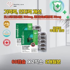 인지기능향상