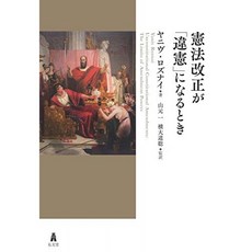 헌법 개정이 위헌이 될 때, 단일옵션, 단일옵션