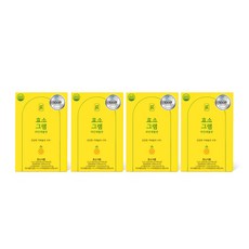 효소그램 파인애플맛 100만역가 국내산 발효효소, 4박스, 240g