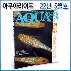 아쿠아라이프 2022년 5월호