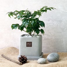 fbe19828b0c723177bd8f281111b27e8ff7c328962d6717ff62c634b031b.jpg