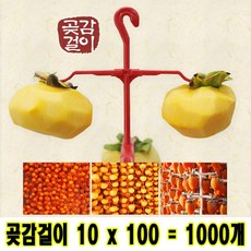곶감단지.원데이